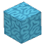 Cyan Coral Block