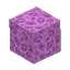 Violet Coral Block