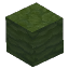 Green Mushroom Block