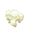 White Cap Mushroom