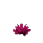 Prototype - Giant Pink Cactus Flower